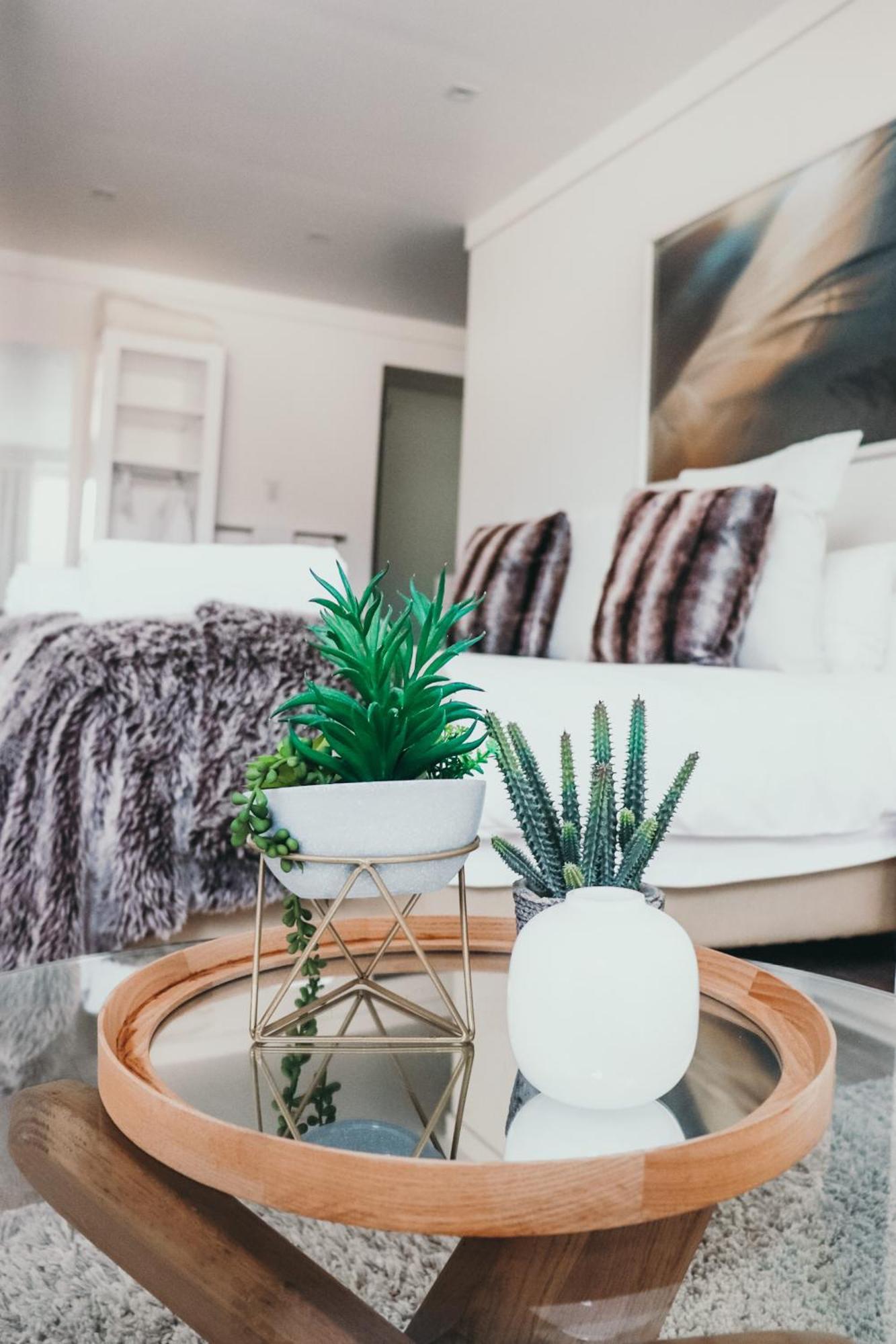 Swakopmund Luxury Suites מראה חיצוני תמונה